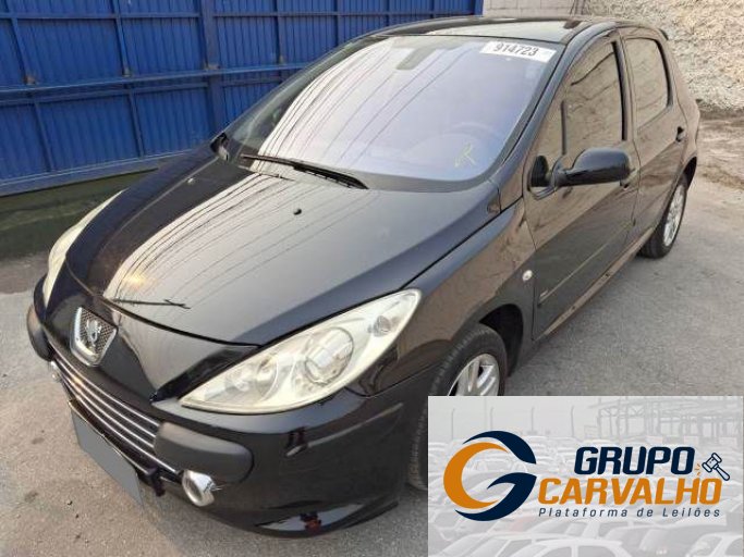 PEUGEOT 307 10/11