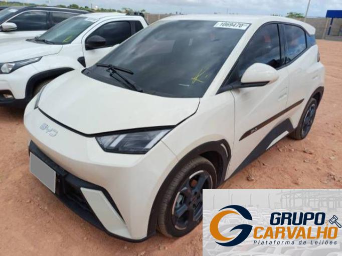 BYD DOLPHIN MINI 24/25